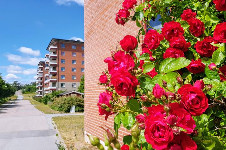 Välkommen till Roslagsbostäder